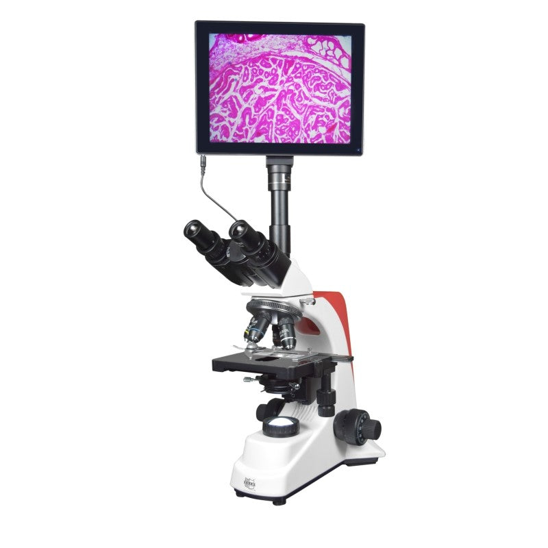Image ALT Tags (SEO-ready):
“Inclined Digital Microscope with 7 Inch LCD Screen for Schools”
“Educational Digital Microscope for Students and Labs”
“Buy Affordable Teaching Microscope with LCD Screen India”
“Best Microscope for Science and Chemistry Classrooms”