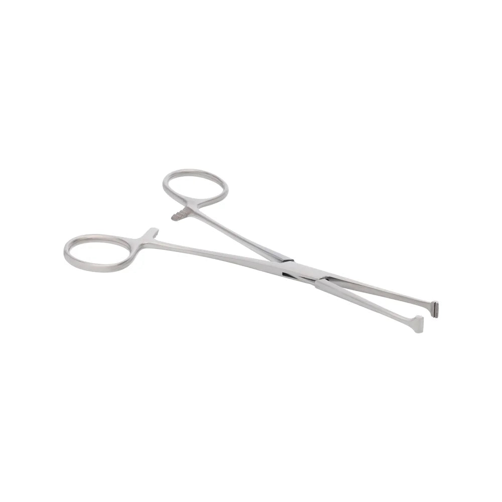 Image ALT Tags:
"Allis Tissue Forceps Stainless Steel for Dissection Labs"
"Precision Forceps for Medical Colleges and Biology Labs"
"Export Quality Tissue Forceps India for Schools and Research Labs"