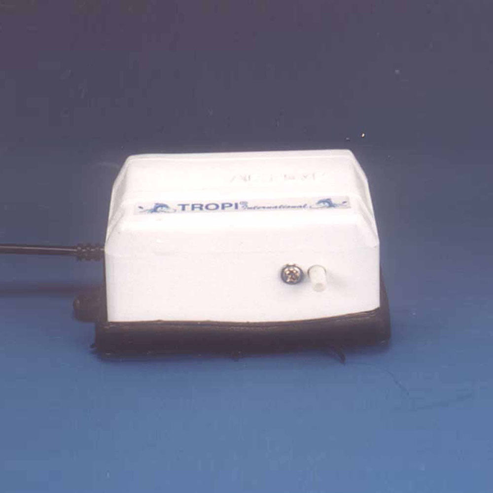 Image ALT Tags:
"Aquarium Accessories for School Biology Labs"
"Aquatic Study Kit with Fish Net and Droppers"
"Lab-Grade Aquarium Equipment for Students"
"ESAW Aquarium Tools for Classroom Science Experiments"
