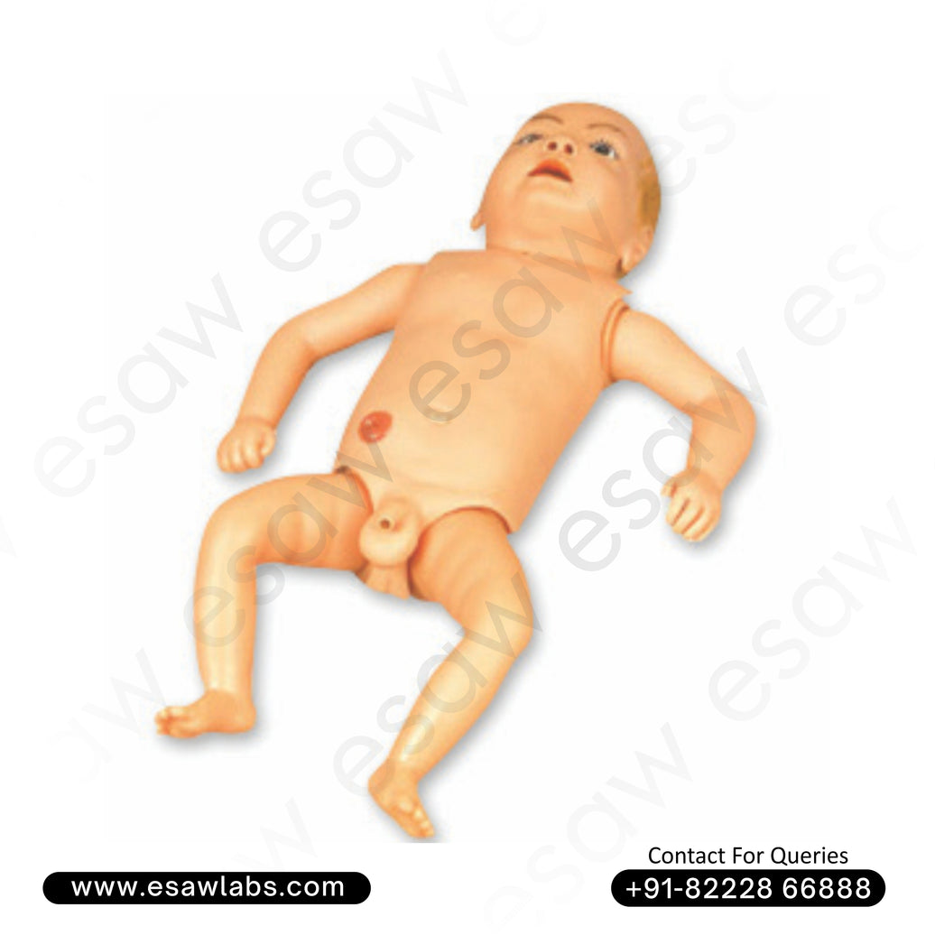 Advanced New-born Nursing Training Manikin (GD/H130 Equivalent) – ESAW India
