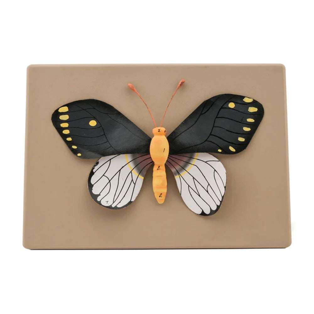 🖼 Image ALT Tags:
"Butterfly Specimen Slide for Entomology Students"
"Mounted Butterfly Anatomy Slide for Biology Labs"
"Export Quality Insect Prepared Slide – Butterfly Dissection"