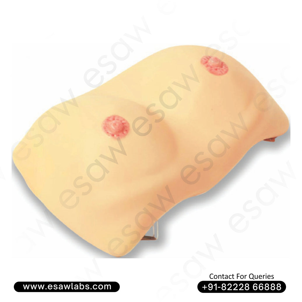 Breast Examination Training Model – Realistic Palpation Simulator