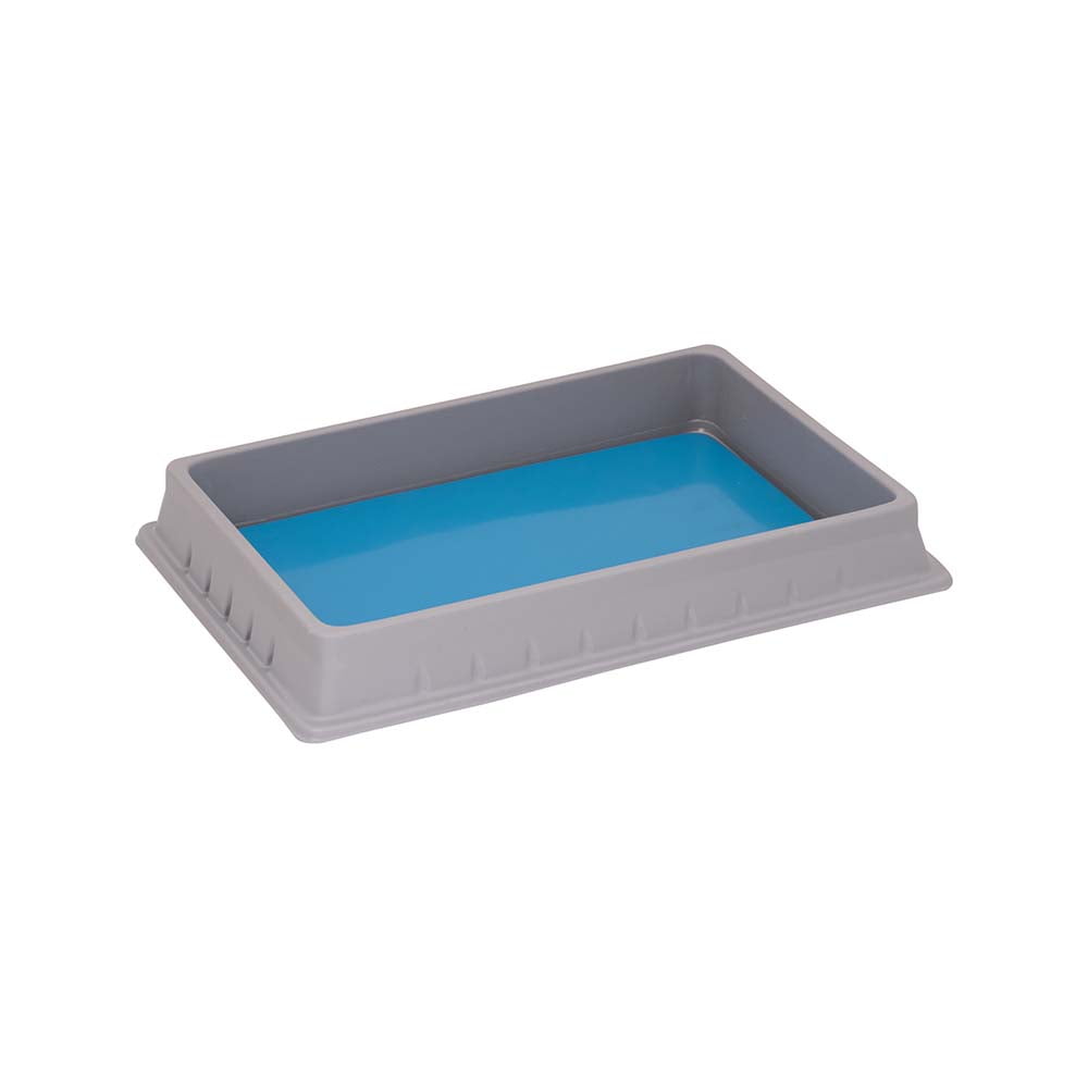 Image ALT Tags:
“Polystyrene Dissection Tray for Biology Lab Use”
“Lightweight Dissection Tray for Students”
“Plastic Dissection Tray for School Science Labs”
“ESAW Dissection Tray for Medical and Educational Labs”