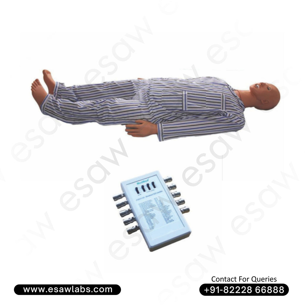 ECG Manikin for Clinical & Cardiology Training – Real-Time ECG Simulation Model | ESAW India
