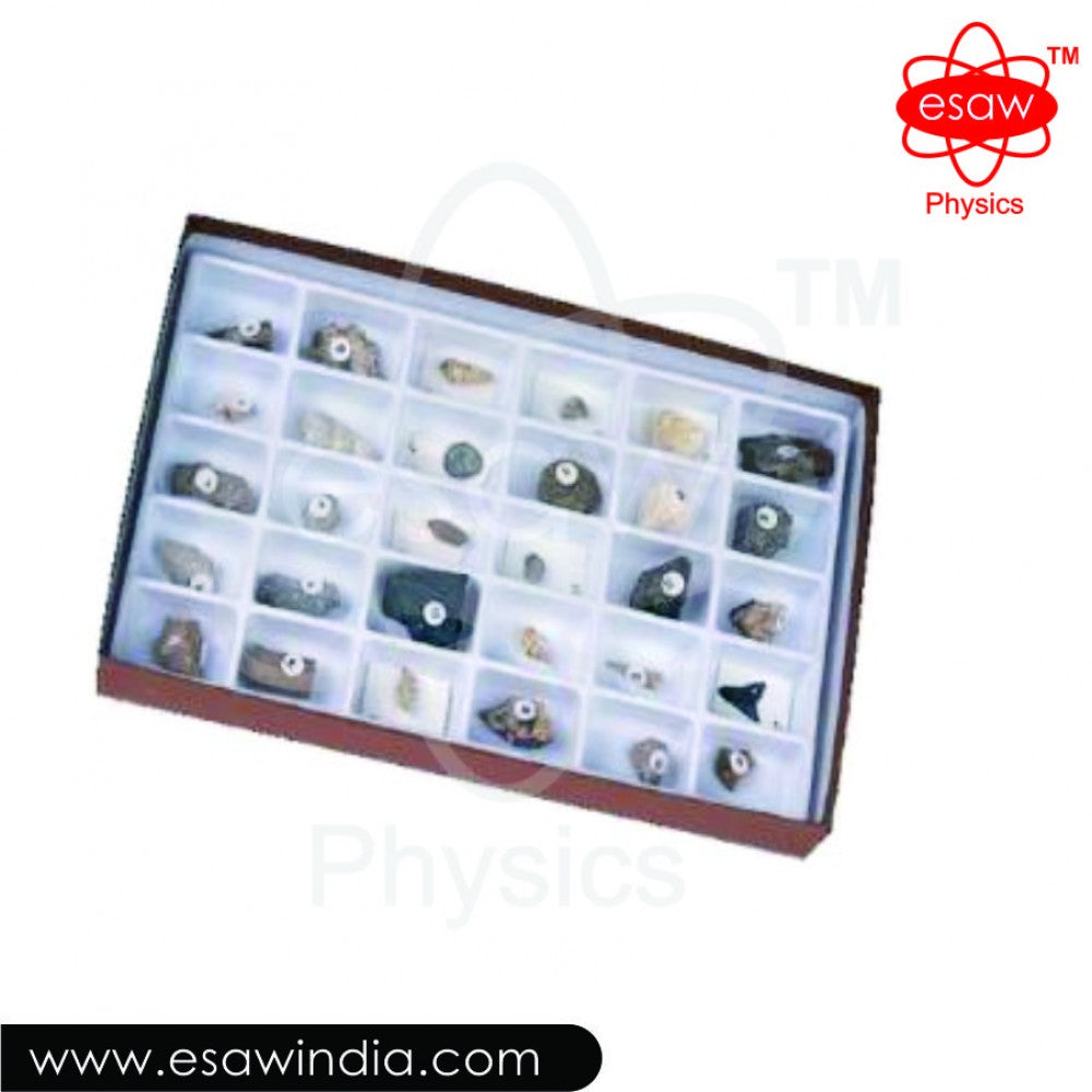 🖼 Image ALT Tags:
"Advanced Fossil Collection Kit for Geology Labs and Schools"
"ESAW MES-9008 Fossil Set for Students and Colleges"
"Educational Fossil Specimens for Earth Science Classrooms"
"Export Quality Fossil Collection for Science Labs – India"