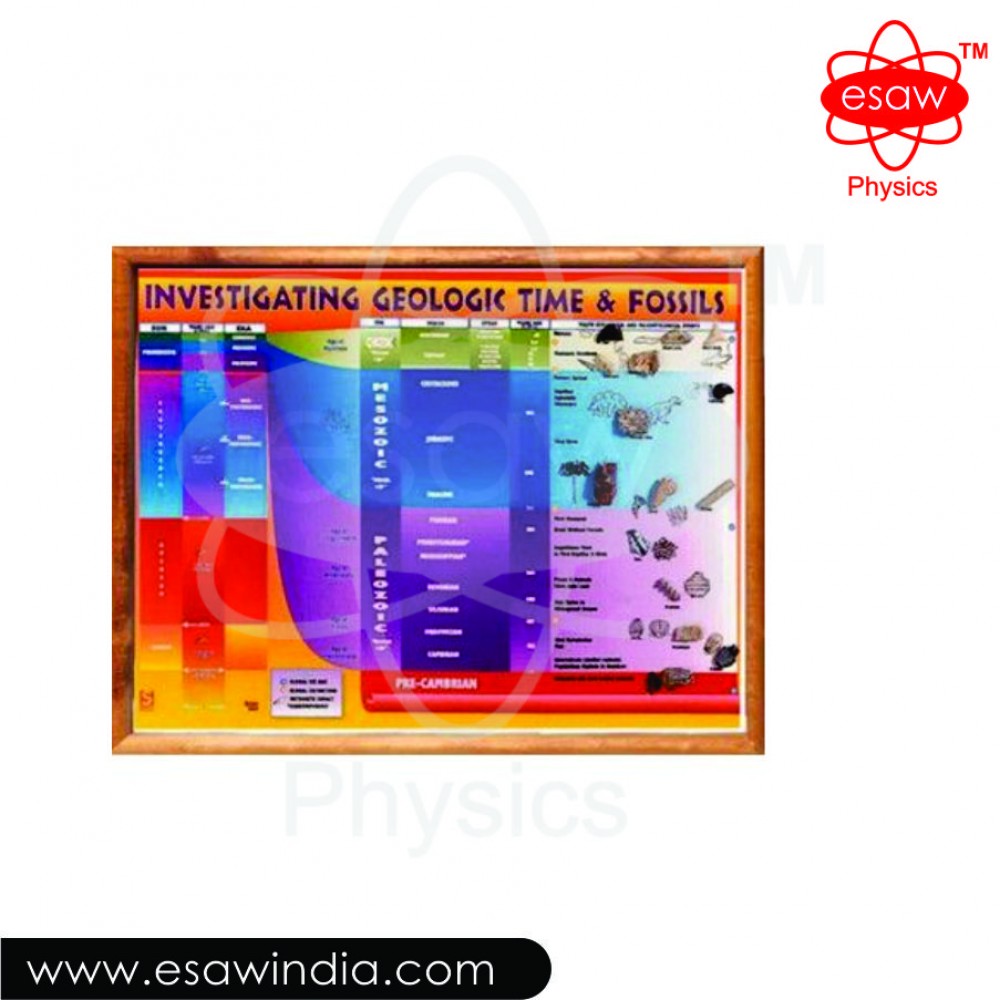 🖼 Image ALT Tags (SEO-Focused):
"Geological Time and Fossils Chart for Science Classrooms"
"Educational Fossil Timeline Chart for Students and Teachers"
"Wall-Mountable Earth Science Chart for Chemistry and Biology Labs"
"Affordable Fossils Learning Chart from India for Global Labs"