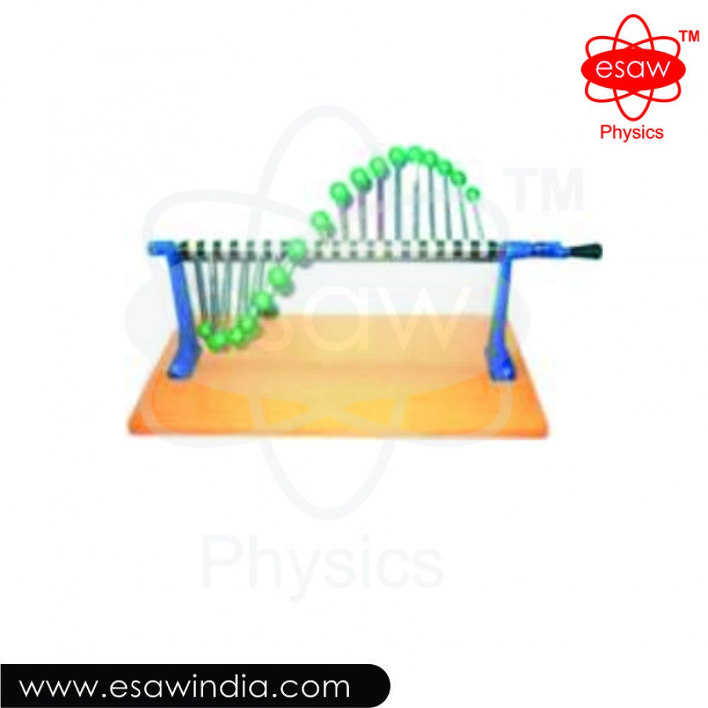 🖼️ Image ALT Tags:
"Powell’s Wave Machine for Physics Lab Demonstration"
"Transverse Wave Demonstrator – ESAW Model SW-1821"
"Wave Motion Apparatus for School and College Labs"