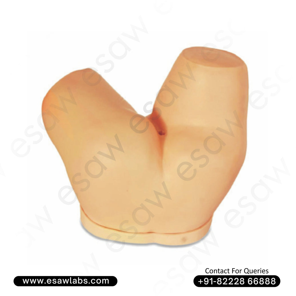 Enema Administration Simulator – Realistic Bowel Care Training Manikin | ESAW India