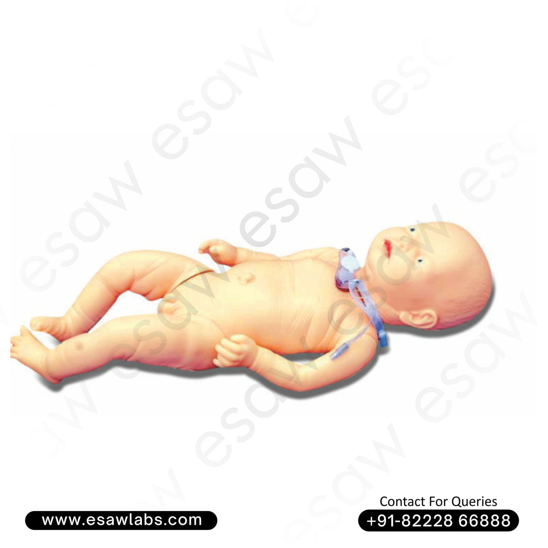 Infant Tracheostomy Care Model – Neonatal Airway Management Simulator