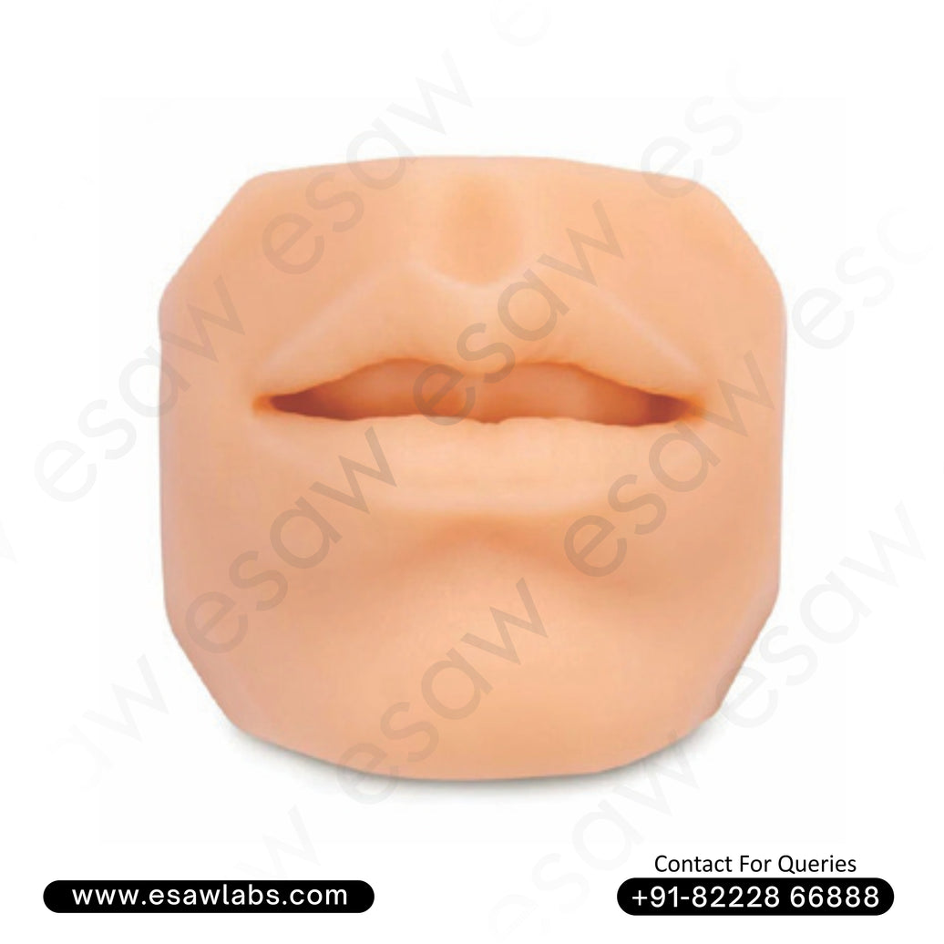 Lip Suture & Piercing Practice Pad – Realistic Silicone Training Model for Clinical & Cosmetic Skills | ESAW India