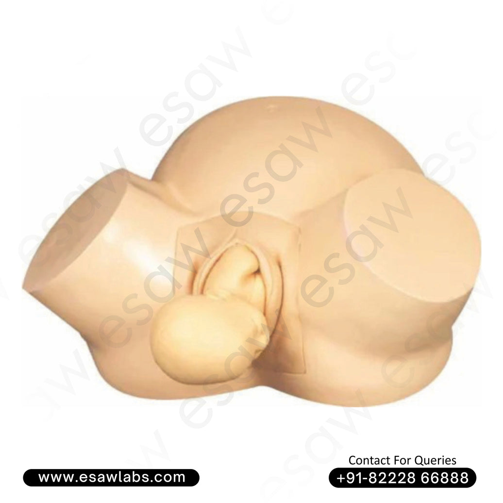 Midwifery Training Simulator – Vacuum Delivery Model for Realistic Obstetric Training