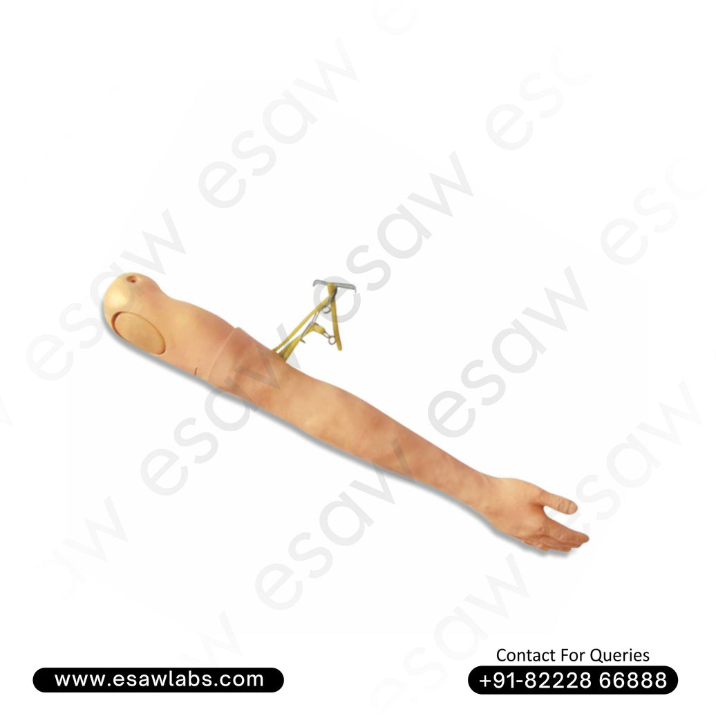 Multi-Functional IV Training Arm – Advanced Peripheral Intravenous Therapy Simulator