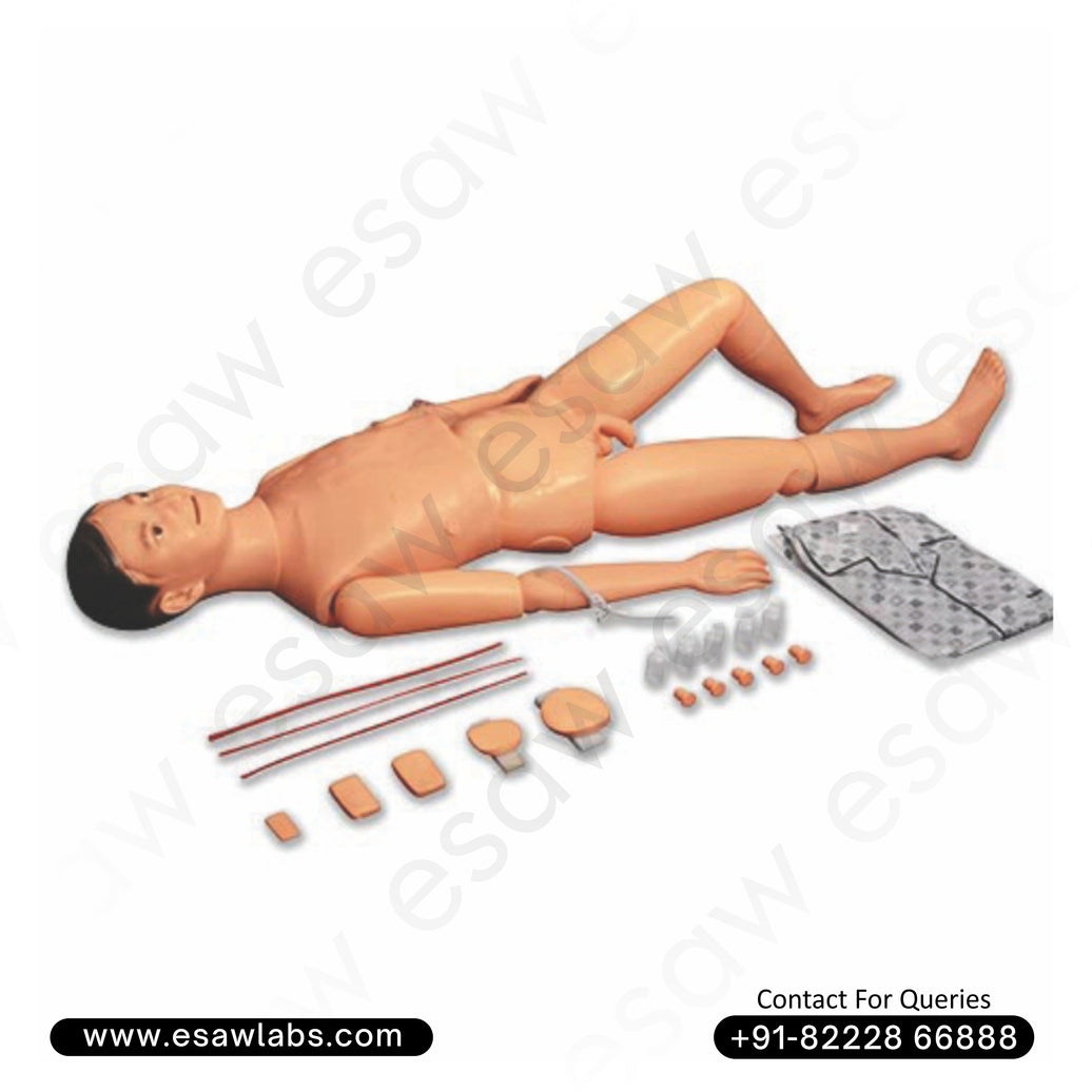 Multifunctional Male Nursing Training & Patient Care Manikin – ESAW India