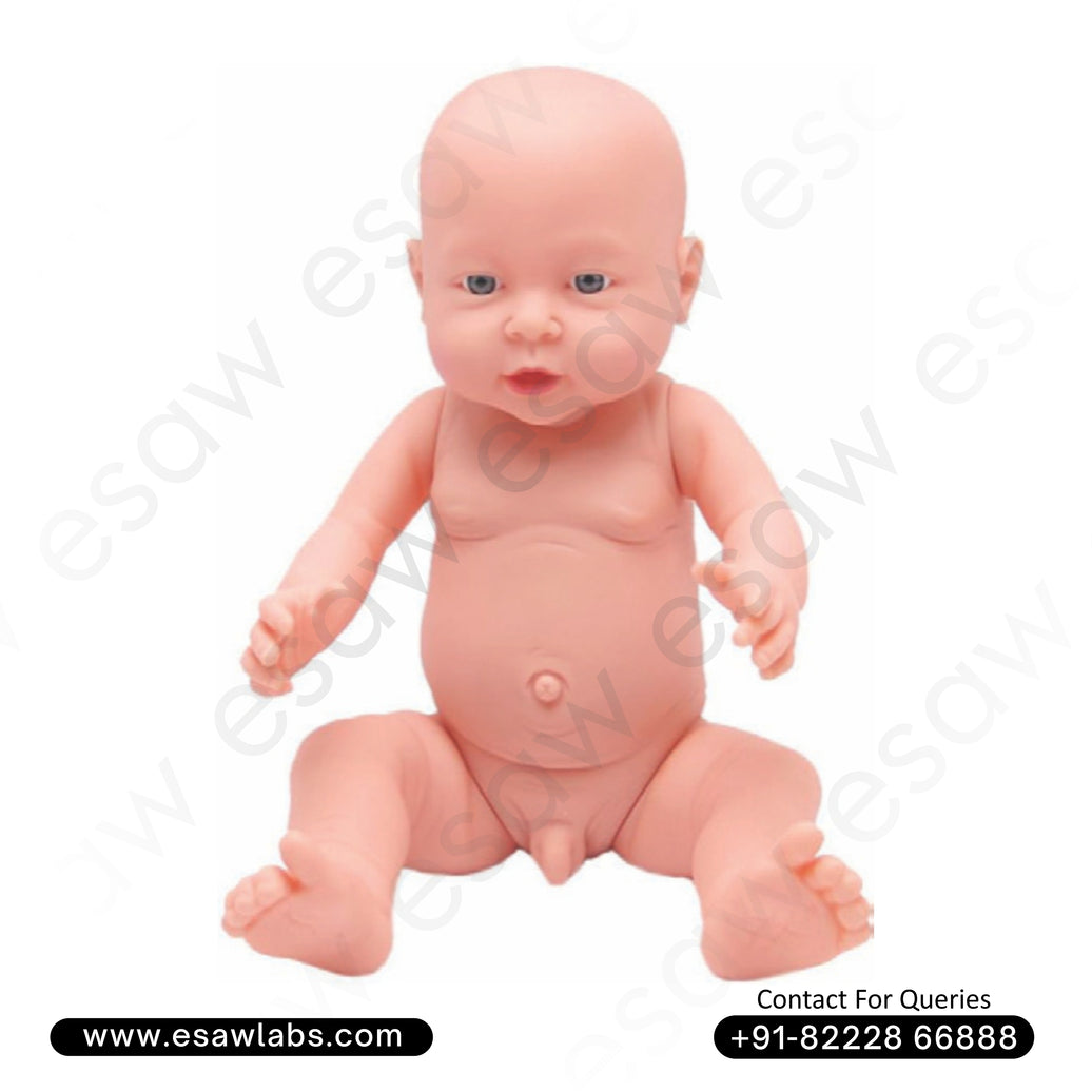 New Born Baby Model (Male) – Life-Size Neonatal Manikin for Clinical Training