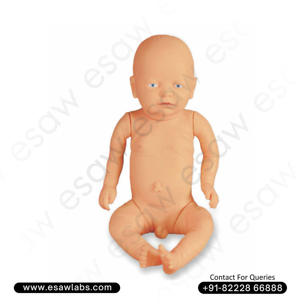 New Born Baby Model (Male) – Life-Size Infant Simulation for Clinical & Nursing Training