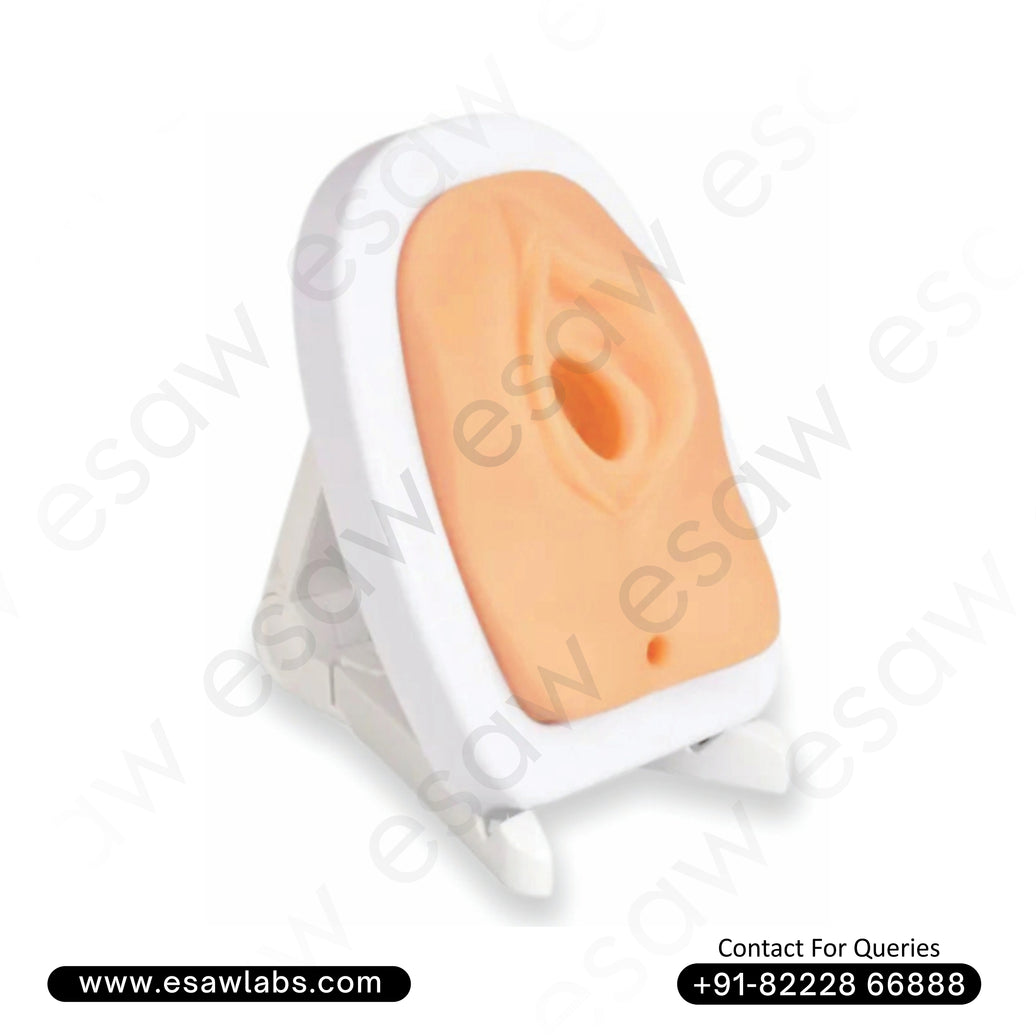 Perineum Cutting and Suturing Training Simulator – Female Episiotomy Practice Model