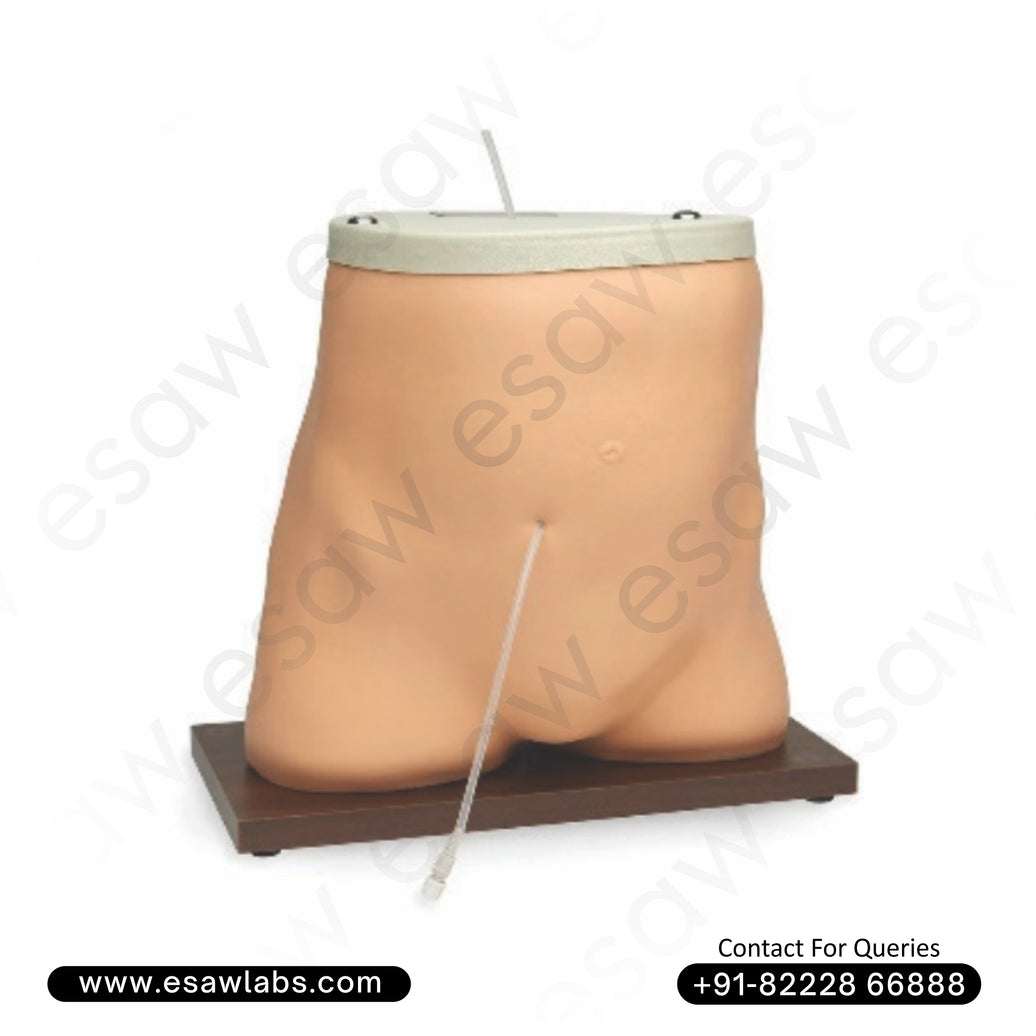 Peritoneal Dialysis Simulator – CAPD Training Torso for Students, Nurses & Patients