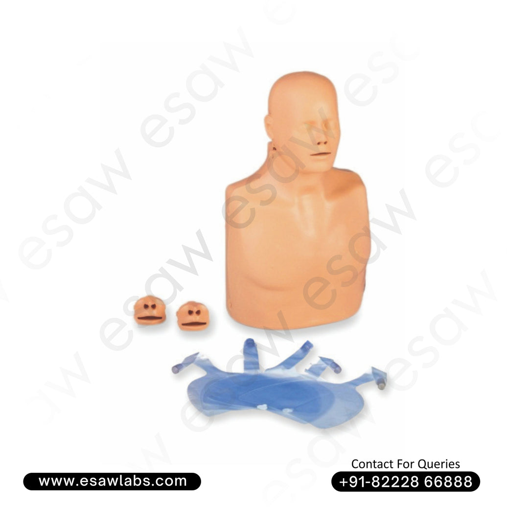 Practiman Advance – Dual Mode Adult/Child CPR Training Manikin