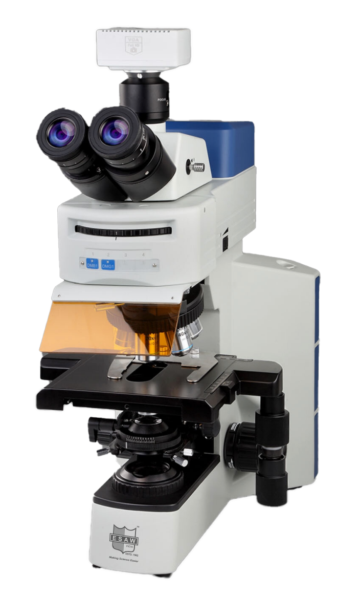 ESAW MX-900 LED Fluorescence Microscope