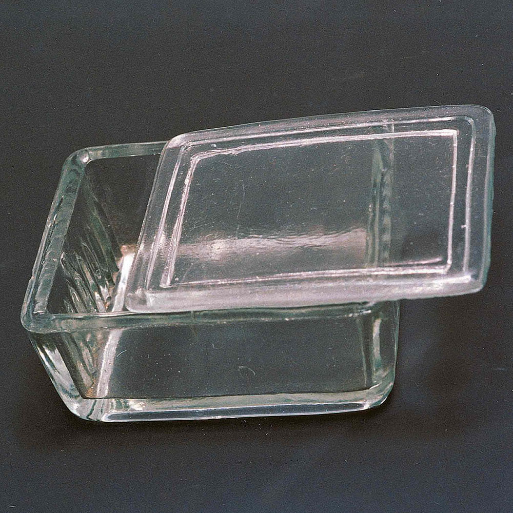 🖼️ Image ALT Tags:
"Glass Staining Trough for Biology Lab Slide Preparation"
"Laboratory Trough for Slide Staining in Medical Colleges"
"Affordable ESAW Glass Trough for School Labs in India"
"Slide Staining Trough for Research Laboratories"