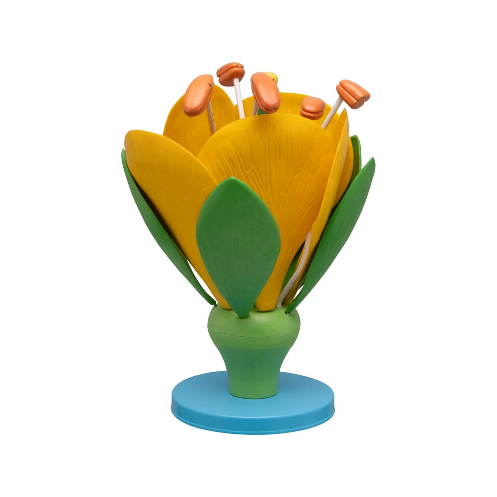 🖼️ SEO-Friendly ALT Tags for Images:
"Typical Flower Model for Biology Classrooms"
"3D Flower Model for Science Lab Education"
"Botany Teaching Aid – Typical Flower Dissection Model"