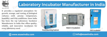Laboratory Incubators: Essential Equipment for Research and Development