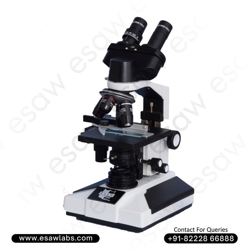 Compound Microscopes