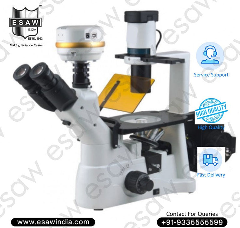 Fluorescence Microscopes