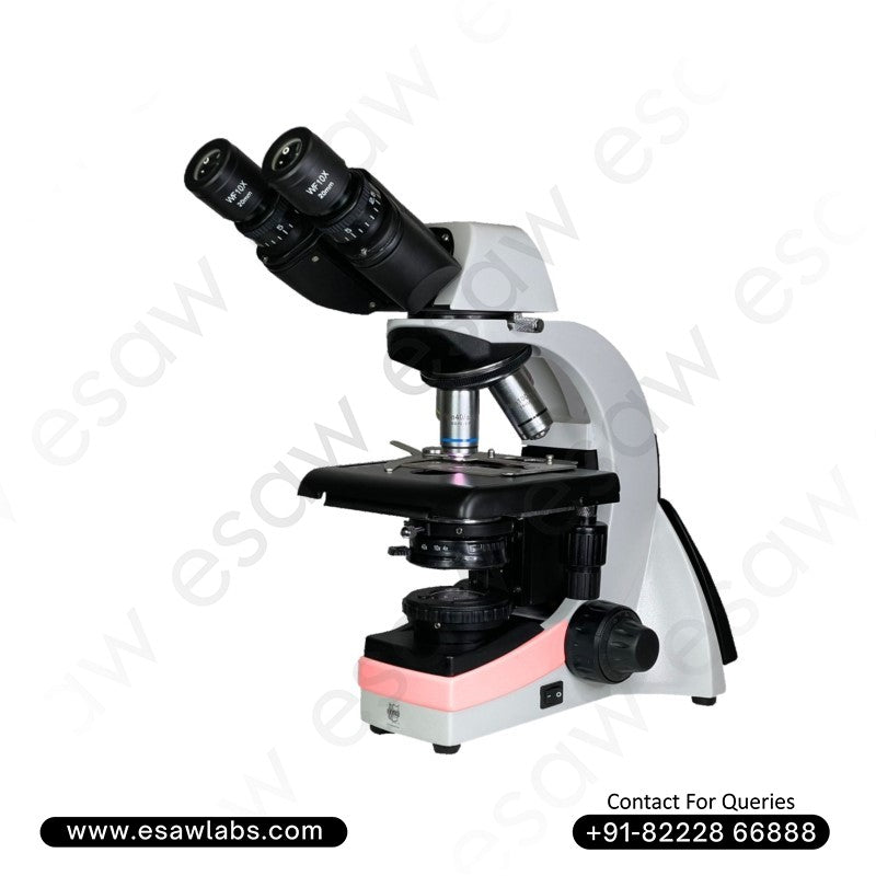 Phase Contrast Microscopes