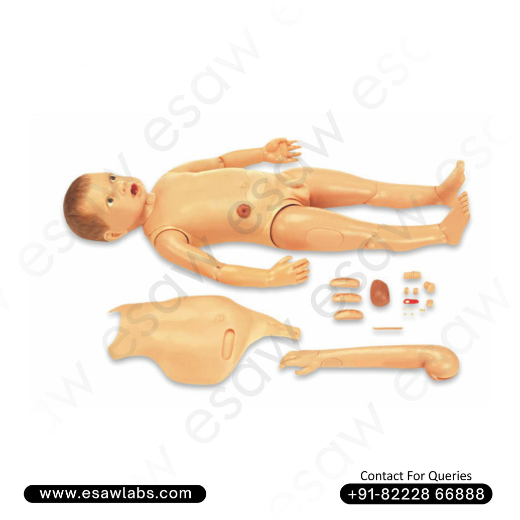 3-Year-Old Pediatric Nursing Training Manikin – ESAW India
