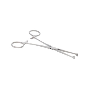 Image ALT Tags:

"Allis Tissue Forceps Stainless Steel for Dissection Labs"

"Precision Forceps for Medical Colleges and Biology Labs"

"Export Quality Tissue Forceps India for Schools and Research Labs"
