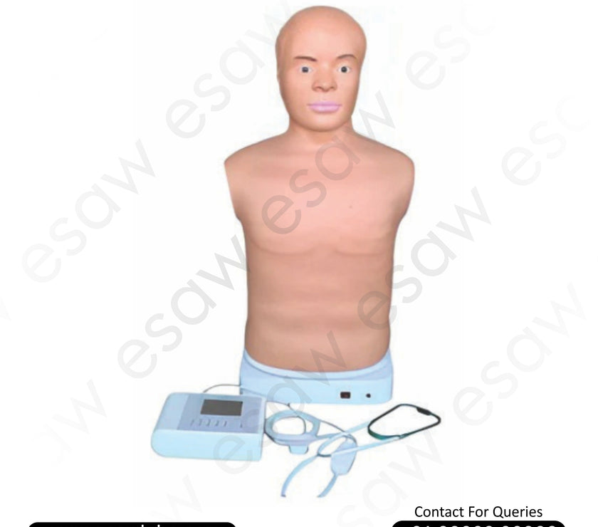 Adult Auscultation Manikin – High-Fidelity Half-Body Simulator for Cardiac &amp; Respiratory Sounds | ESAW India