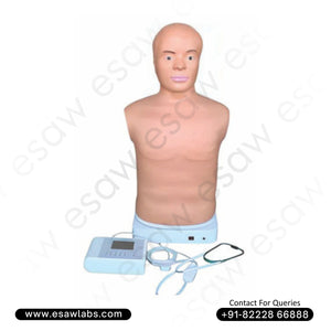 Adult Auscultation Manikin – High-Fidelity Half-Body Simulator for Cardiac &amp; Respiratory Sounds | ESAW India
