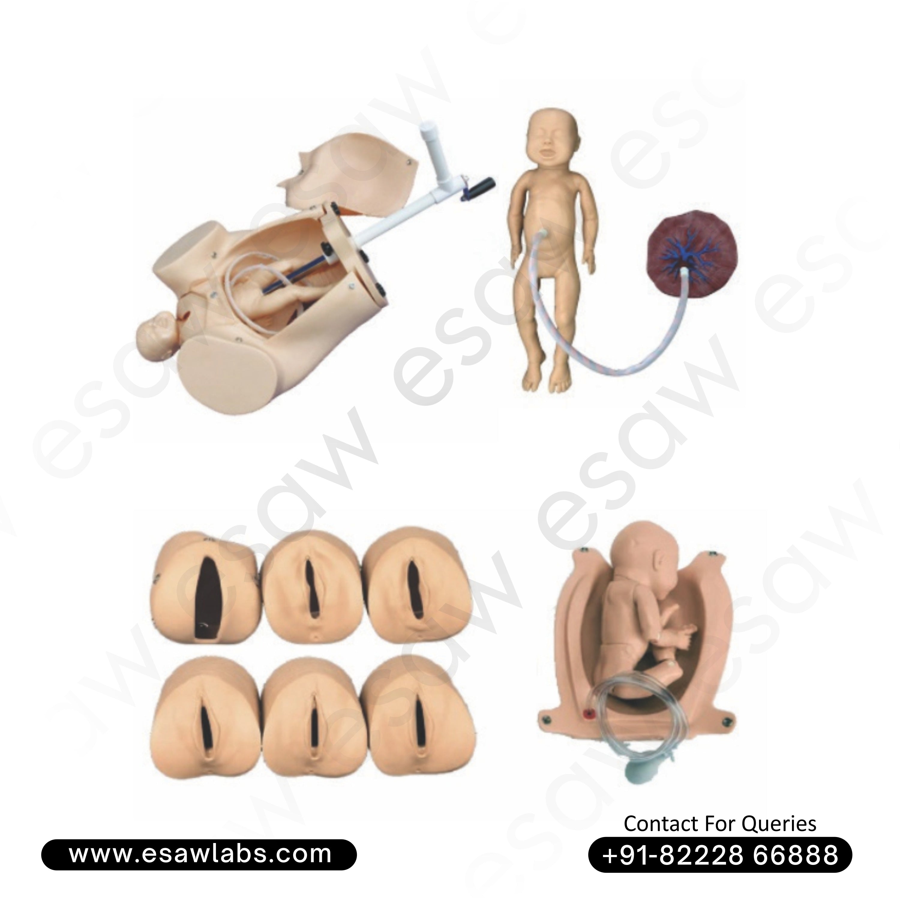 Advanced Abdominal Palpation and Delivery Mechanism Simulator | ESAW I Advanced Abdominal Palpation and Delivery Mechanism Simulator | ESAW I