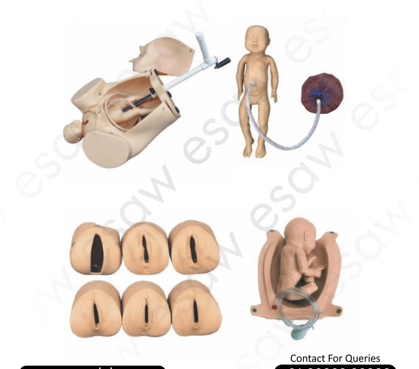 Advanced Abdominal Palpation and Delivery Mechanism Simulator | ESAW India