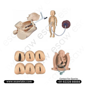 Advanced Abdominal Palpation and Delivery Mechanism Simulator | ESAW India