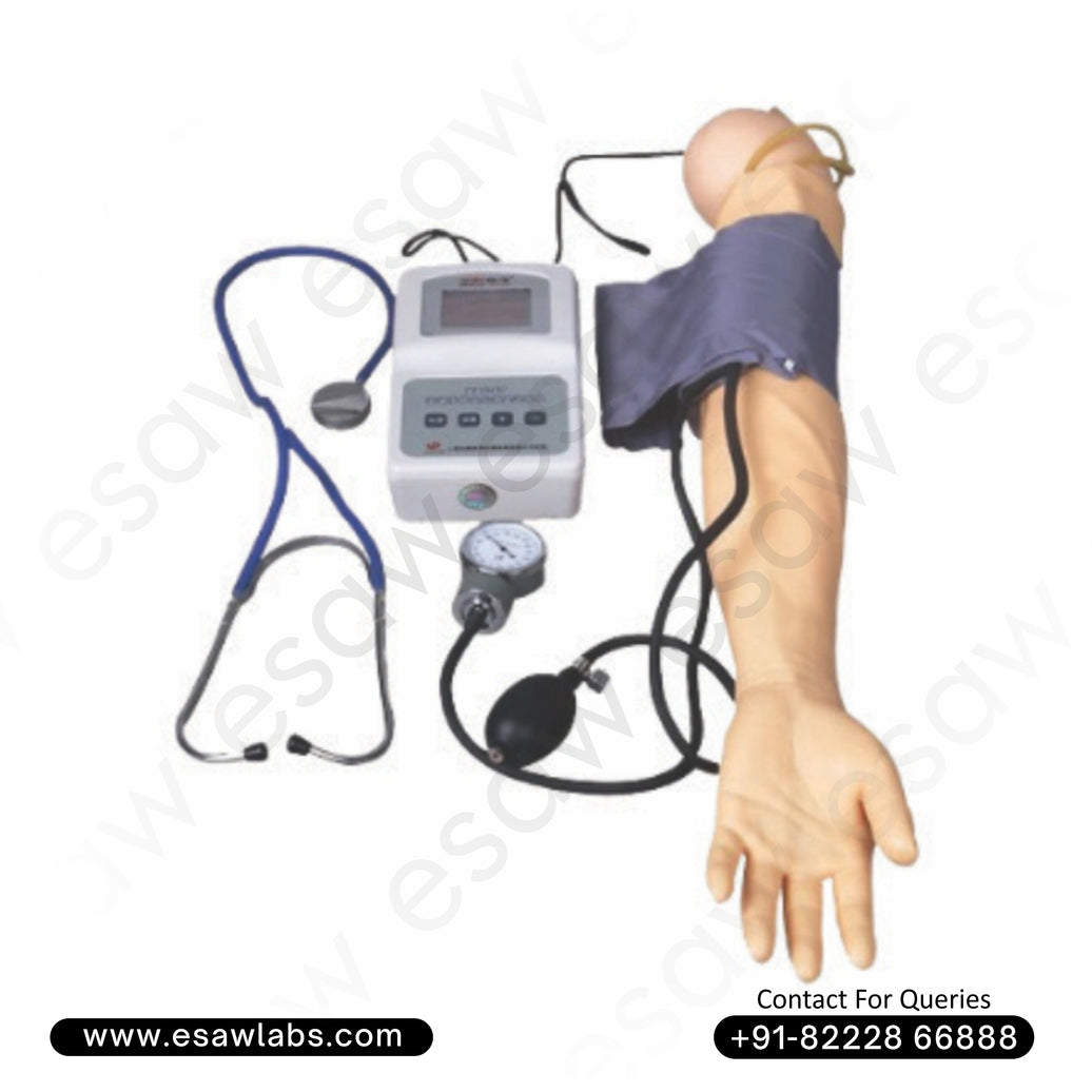 Advanced Blood Pressure Training Arm – Accurate Blood Pressure Simulation Model for Clinical Skill Labs | ESAW India