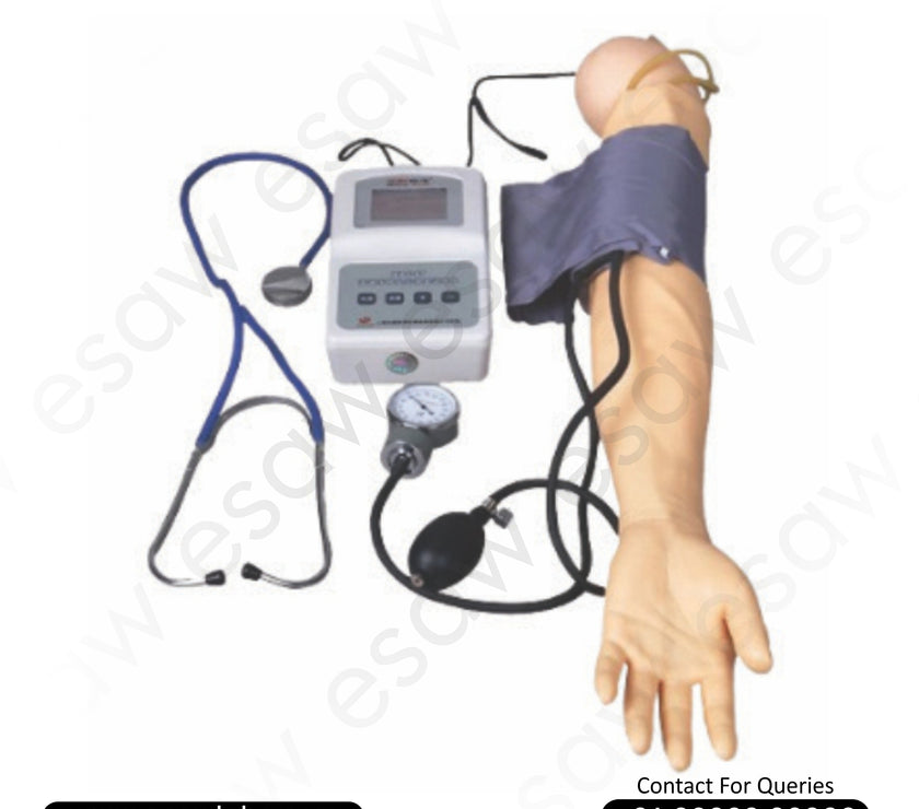 Advanced Blood Pressure Training Arm – Accurate Blood Pressure Simulation Model for Clinical Skill Labs | ESAW India