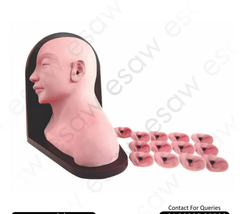 Advanced Ear Inspection Simulator – Comprehensive Otoscopy Training Model | ESAW India