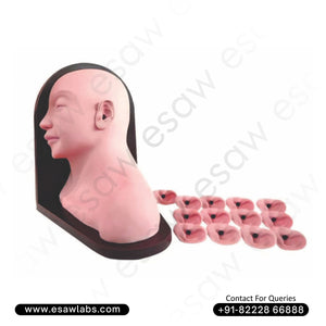 Advanced Ear Inspection Simulator – Comprehensive Otoscopy Training Model | ESAW India
