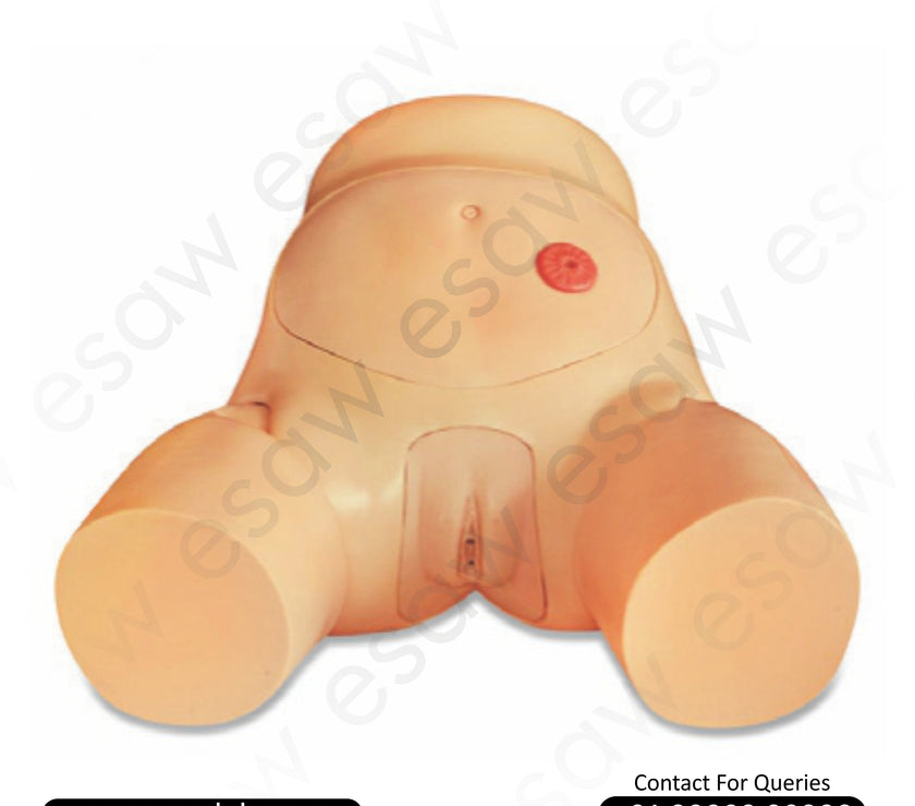 Advanced Male Urethral Catheterization Simulator | ESAW India