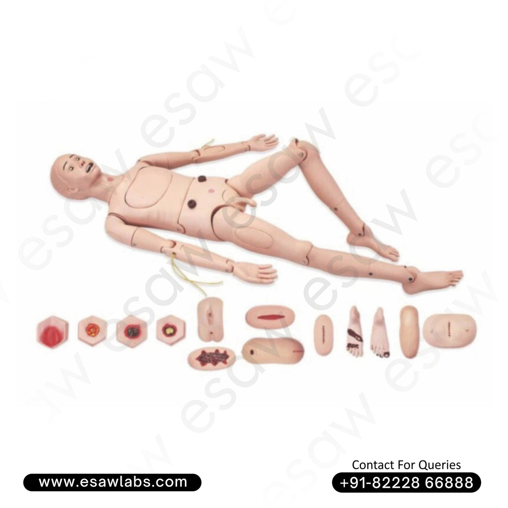 Advanced Nursing & Wound Care Manikin (male) – Professional Full-Body Training Dummy by ESAW India