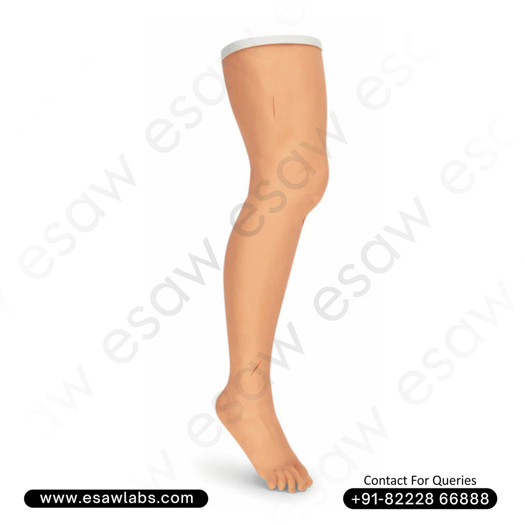 Advanced Suture Practice Leg – Realistic Medical Training Model for Suturing and Wound Care