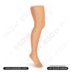 Advanced Suture Practice Leg – Realistic Medical Training Model for Suturing and Wound Care