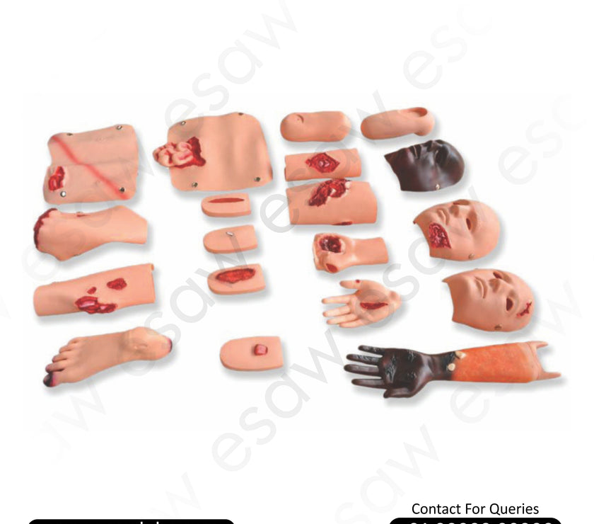 Advanced Trauma Evaluation Model – Comprehensive Trauma Simulation Manikin | ESAW India