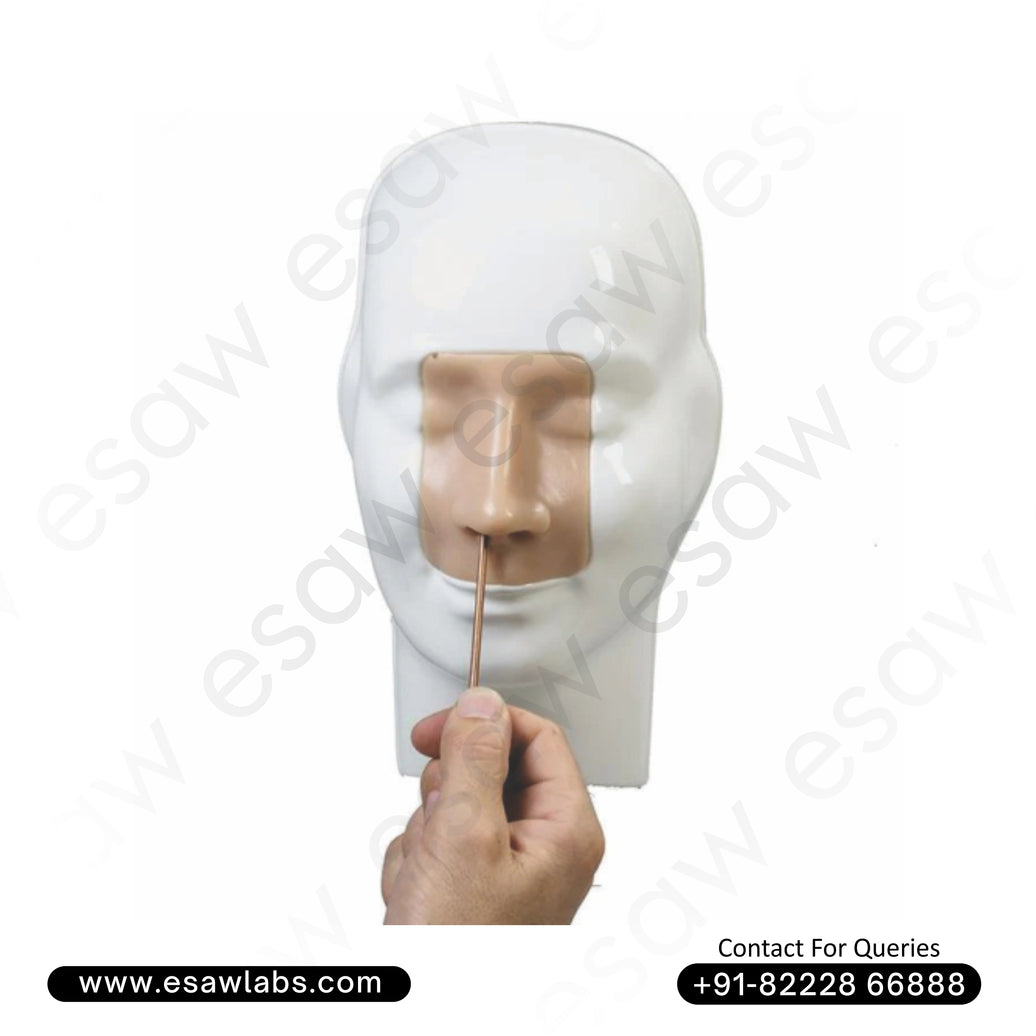 Advanced Nasal Haemorrhage Simulator | ESAW India