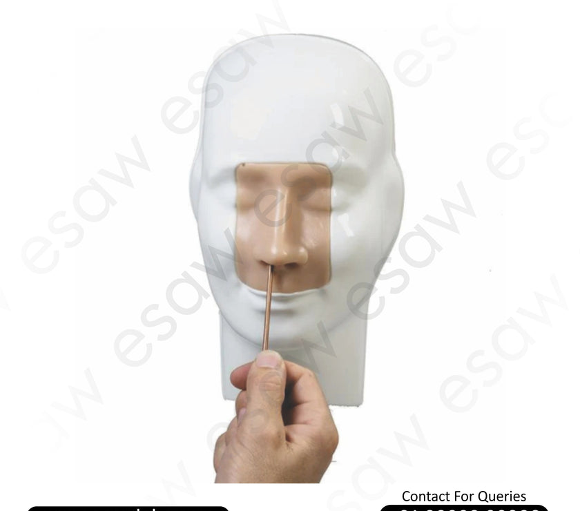 Advanced Nasal Haemorrhage Simulator | ESAW India