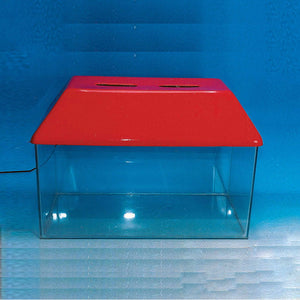 Image ALT Tags:

"Glass Aquarium for Biology Classroom Experiments"

"Laboratory Aquarium for Zoology and Aquatic Studies"

"ESAW Aquarium Tank for Educational Use India"

"Export Quality Glass Aquarium for Students"