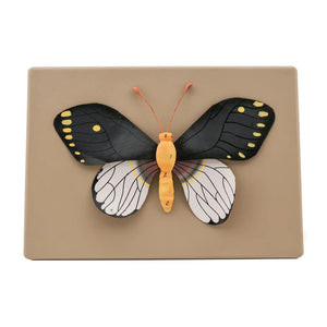 🖼 Image ALT Tags:

"Butterfly Specimen Slide for Entomology Students"

"Mounted Butterfly Anatomy Slide for Biology Labs"

"Export Quality Insect Prepared Slide – Butterfly Dissection"