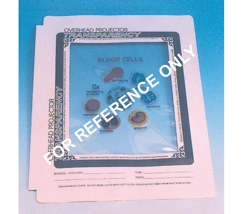 Animal Cell & Tissues